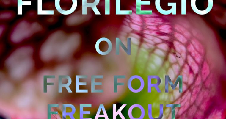 FREE FORM FREAKOUT * FLORILEGIO MIXTAPE #13