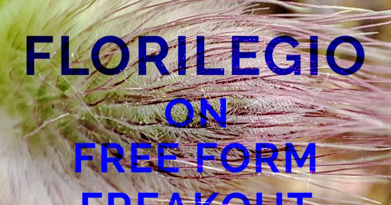 FREE FORM FREAKOUT * FLORILEGIO MIXTAPE #16