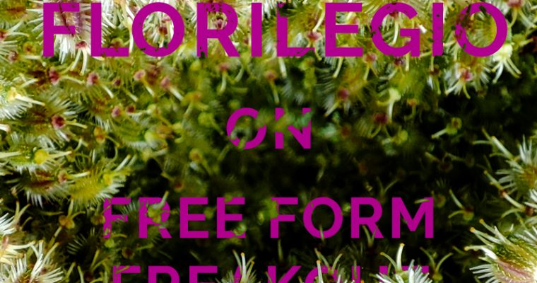 FREE FORM FREAKOUT * FLORILEGIO MIXTAPE #18