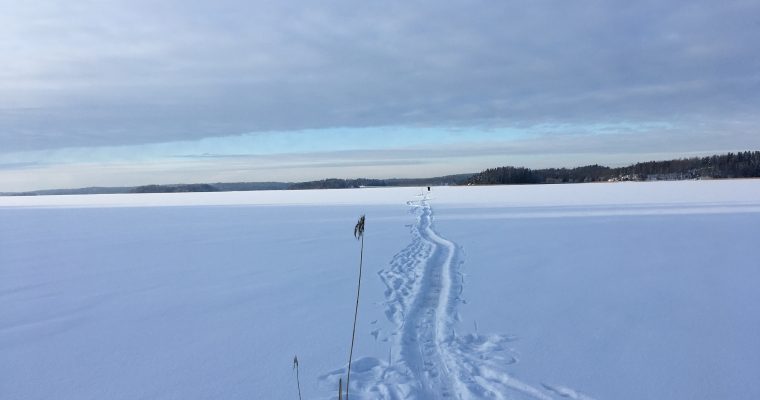 LAU NAU: MORPHING SEA ICE IN KIILA, FINLAND
