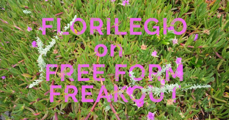 FREE FORM FREAKOUT * FLORILEGIO MIXTAPE #20